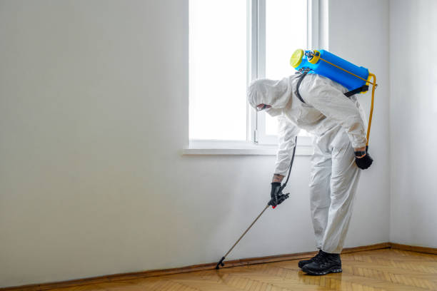 Best Pest Exclusion Services  in Euclid, OH